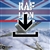 RAF: Lion Downloadable Computer Game (PC)